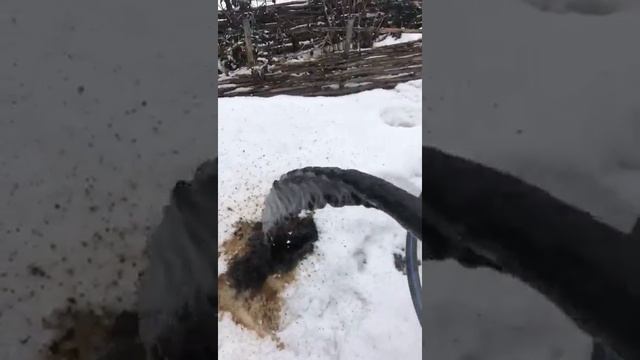 Чистка скважин смотреть онлайн