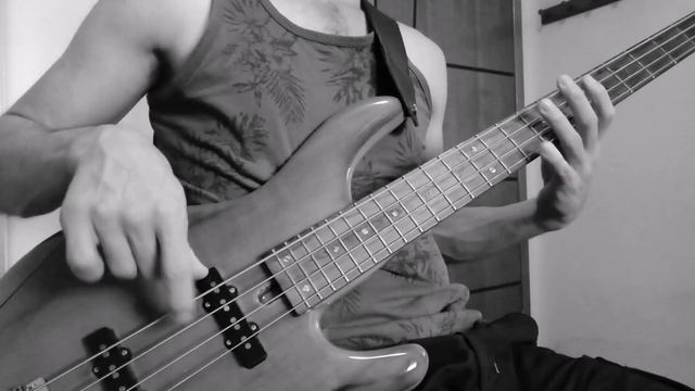 Tony Hawk's 2 Pro Skater theme / Bass cover смотреть онлайн