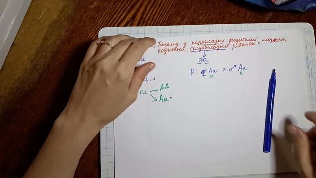 урок 19 "Почему у кареглазых родителей могут родиться голубоглазые дети?)) " смотреть онлайн