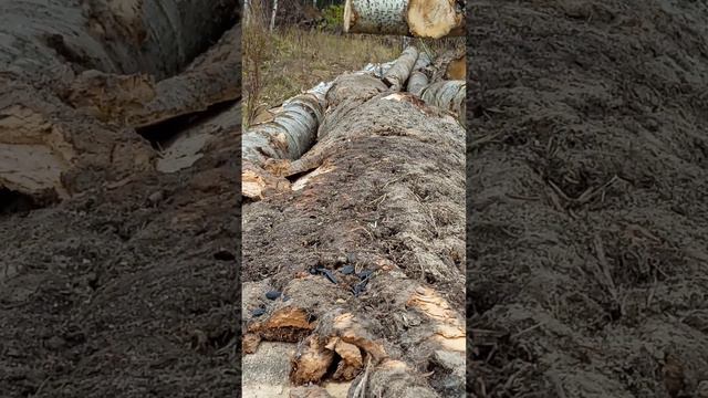 7 октября 2022 г. смотреть онлайн