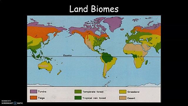 Terrestrial Biome Activity Introduction смотреть онлайн