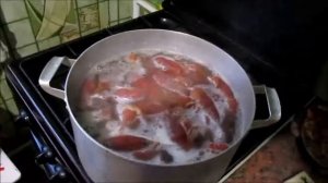 как правильно варить и хранить вареных раков!