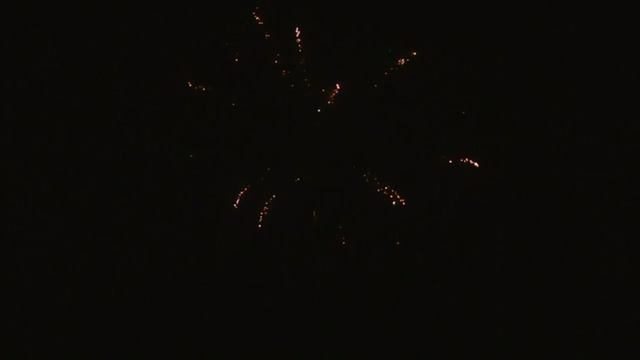 Огненный цветок (0,8х49) (C 007) смотреть онлайн