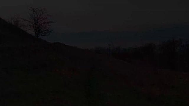 Spring Days #16. Русская псовая борзая / Borzoi