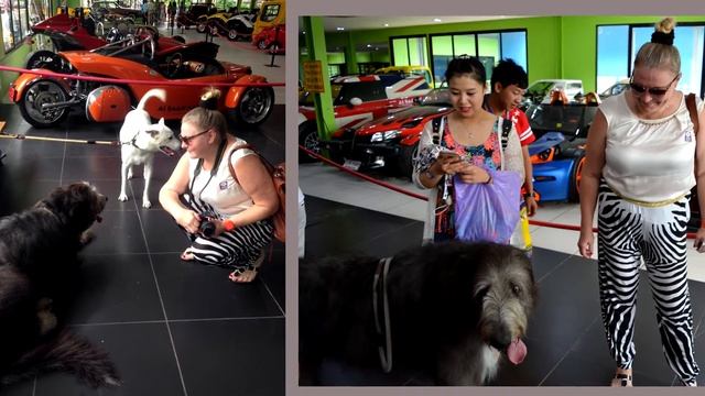 Тайланд. Однодневная экскурсия в парк Нонг Нуч. Паттайя июнь 2016 год смотреть онлайн