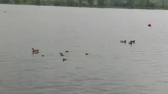 ПЯТИГОРСК/УТРО НА ОЗЕРЕ? смотреть онлайн