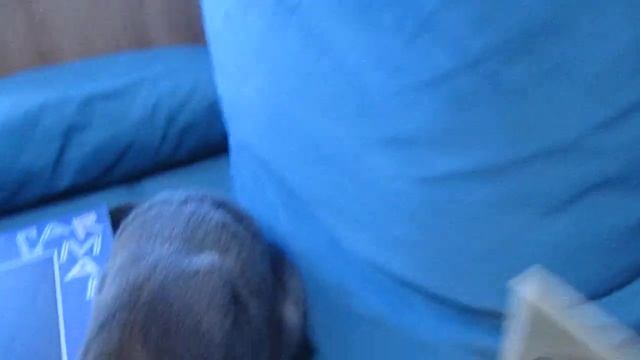 Виниловые пластинки(Моя коллекция.Часть 5)