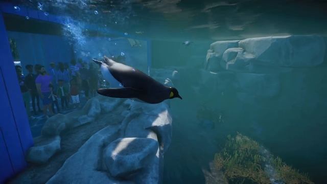 Planet Zoo: Aquatic Pack | Announce Trailer смотреть онлайн