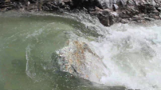 Шумак-2014 смотреть онлайн