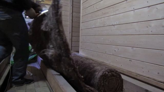 УТЕПЛИЛИ ПОЛЫ МИНЕРАЛЬНОЙ ВАТОЙ /39 смотреть онлайн