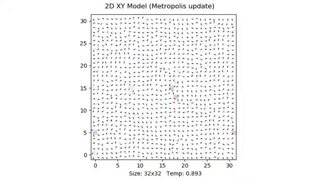 2D XY model (Metropolis update) смотреть онлайн