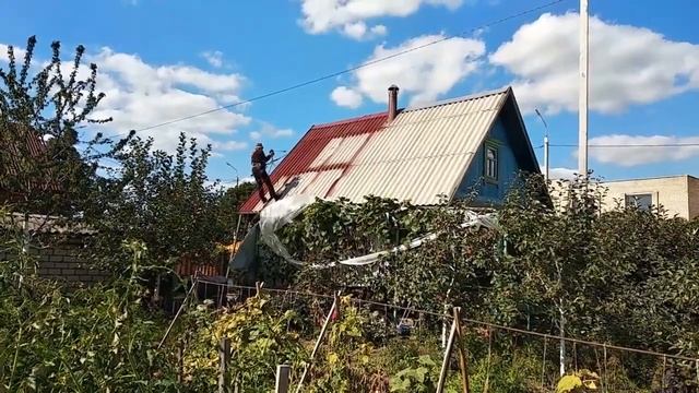 Процесс реставрации старого шифера смотреть онлайн