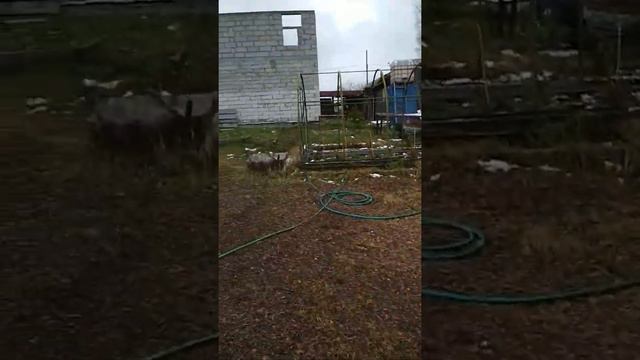 Участок в деревне у реки.Мечта! смотреть онлайн