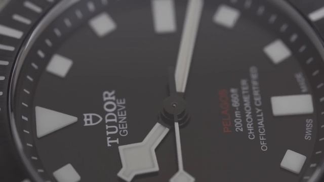 2 Months Later: Tudor Pelagos 39 - Scratches?