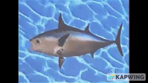 For Sab Nino (SpongeBoy Ahoy! Intro (1996)