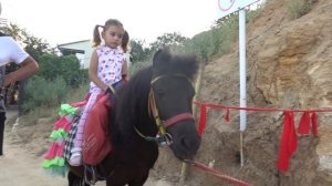 VLOG Мы купили пони