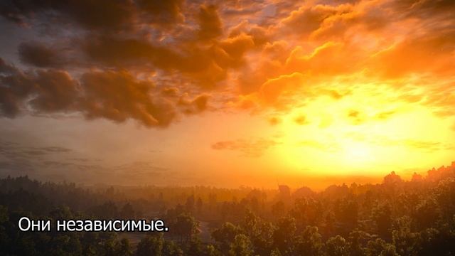 ВОДОЛЕЙ - лучшие черты знака. смотреть онлайн