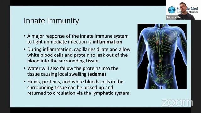 MCAT Biology The Immune System - Topic 1/4: Intro to Immunity смотреть онлайн