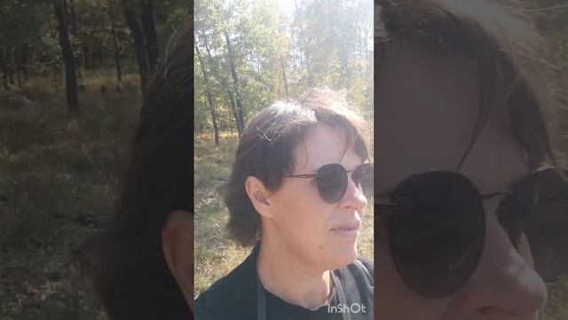 Вместо грибов нашла гадюку? смотреть онлайн