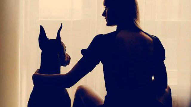 Mitar Mirić - Doberman