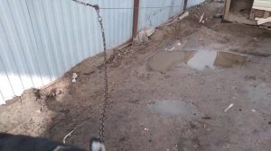 вольер для собаки своими руками день 1