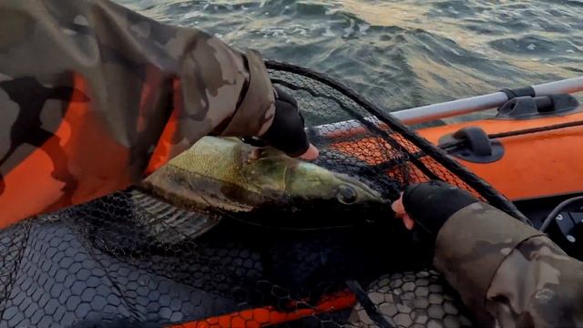 ЛОВЛЯ СУДАКА С ЛОДКИ НА СПИННИНГ ОСЕНЬЮ. Рыбалка на джиг в сентябре.