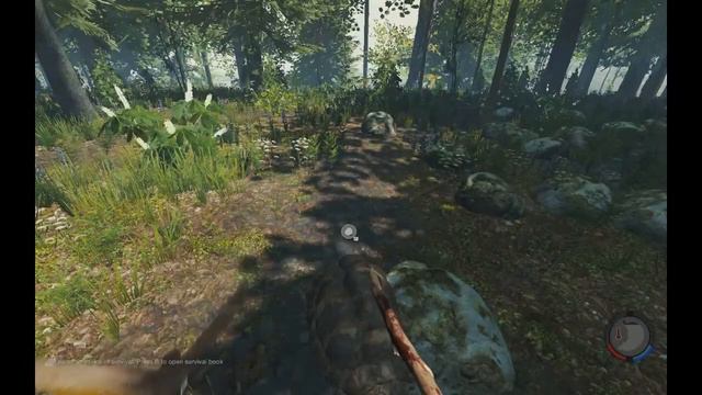 The Forest. Охота на черепаху! смотреть онлайн