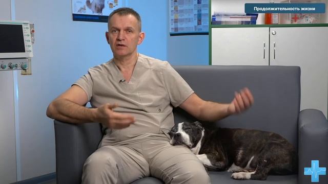 Продолжительность жизни смотреть онлайн