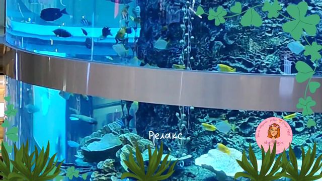🌱 Обратила внимание, что люди сидят у аквариума 🐠🐋🐟 и смотрят в "эфир" часами 😁💐 смотреть онлайн