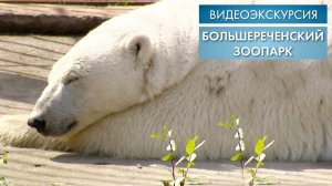 Большереченский зоопарк | Видеоэкскурсия