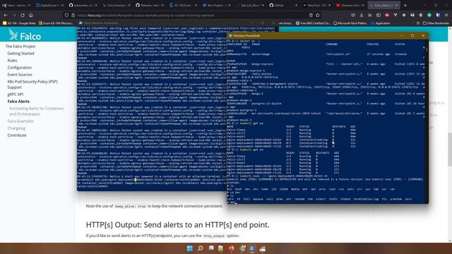 Try check Falco Logs about their alert - Part 3 смотреть онлайн