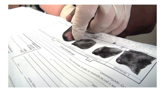 RUDN University, Studies And Laboratories