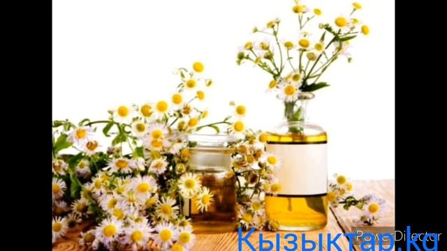 ЧАЛКАНДАН УЙ ШАРТЫНДА ДАЯРДАЛУУЧУ МАСКАЛАР смотреть онлайн