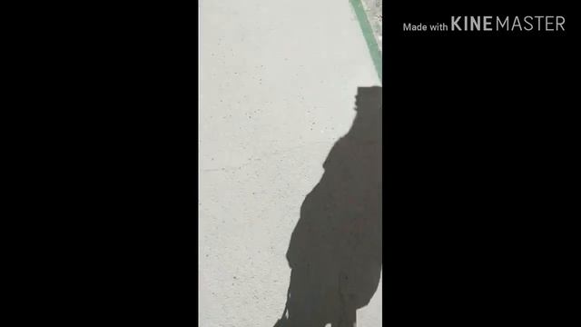 Мини влог после школы есть маты😼 смотреть онлайн