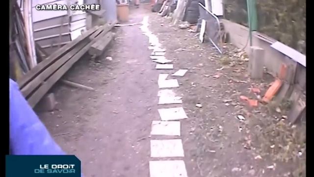 Les travailleurs pauvres смотреть онлайн