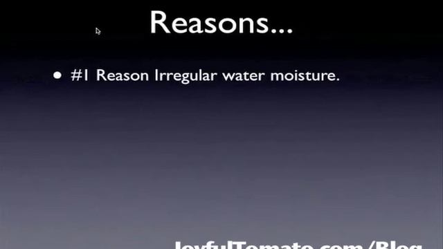 Black Spots On Tomatoes Explained