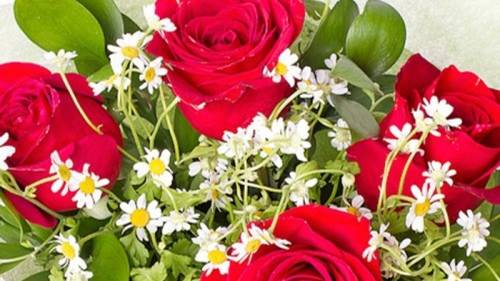 любимые цветы