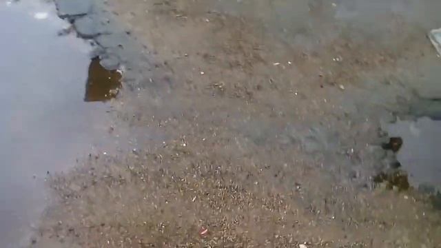 мінітракторз мотоблока тільки з конвеєра смотреть онлайн