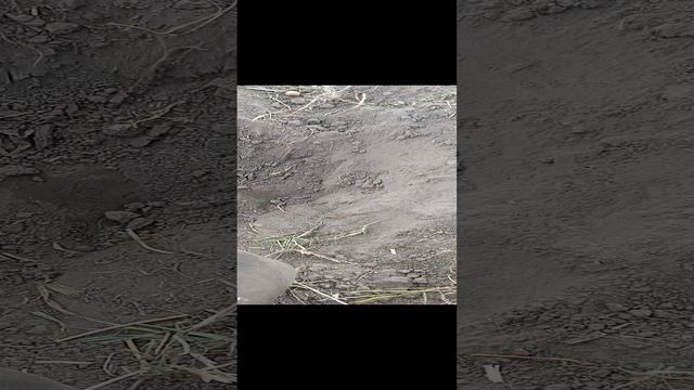 приятная находка.