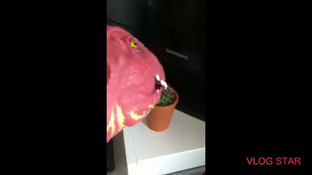 Dino Vs cactus (read description) смотреть онлайн