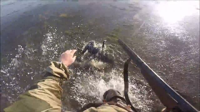 Охота на гуся в НАО в 2018 году осень. Отличный день охоты на гусей смотреть онлайн