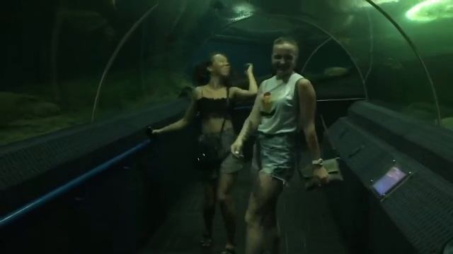 Русские в Тайланде . Аквариум . Змеи. Рыбы. Отдых в Тайланде . Паттайя . Девушки в Тайланде обзор смотреть онлайн