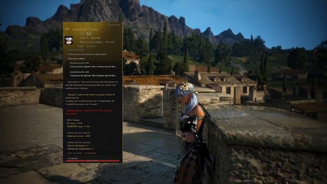 Black Desert Online FR - Comment se stuff en 2022, SAISON et HORS SAISON - Guide complet ! смотреть онлайн