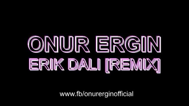 Onur Ergin - Erik Dali (Remix) смотреть онлайн