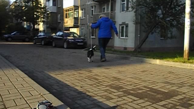 DSCN0004 смотреть онлайн