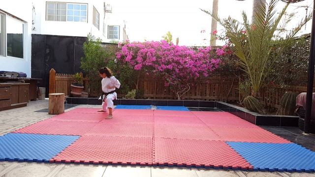 ENPI - Jasmine Ahmed ADIDAS KARATE OPEN E-TOURNAMENT - KATA смотреть онлайн