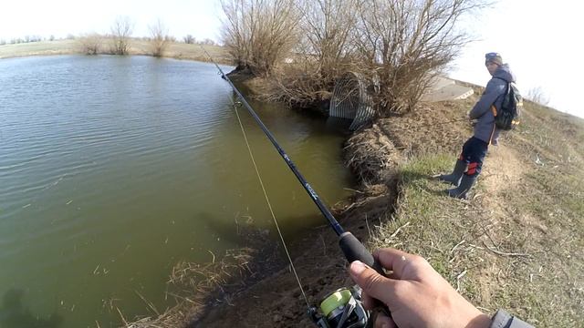 Щуки монстры в канаве!!! Ловля щуки на джиг в Астрахани 2020 [Пора ловить щуку] смотреть онлайн