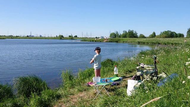 Сом на Кузьминском водохранилище. Огромная щука и трофейный судак. смотреть онлайн