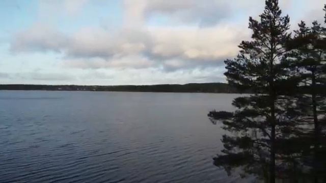 коттедж в загородном курорт-отели Лесная рапсодия смотреть онлайн