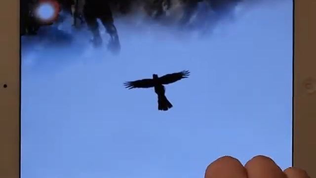 Crow Iphone & Ipad Gameplay смотреть онлайн